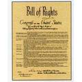 Bill of Rights & Amendments Document - Retype Set (19"x25")